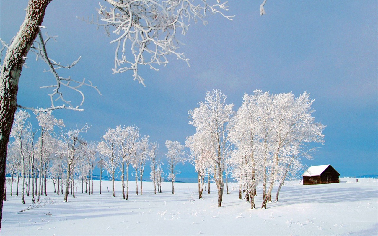 冬天雪景壁紙(三) #10 - 1280x800