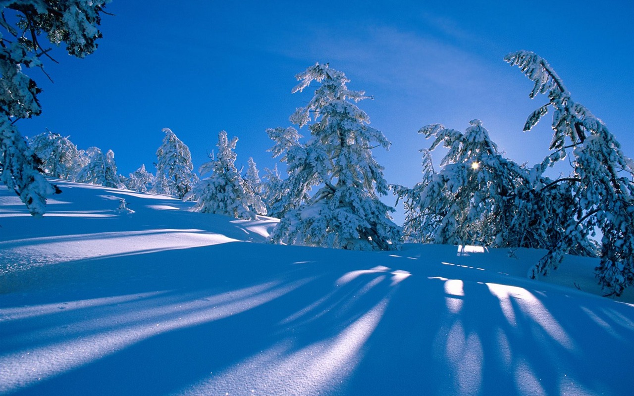 Invierno Nieve fondo de pantalla (3) #14 - 1280x800
