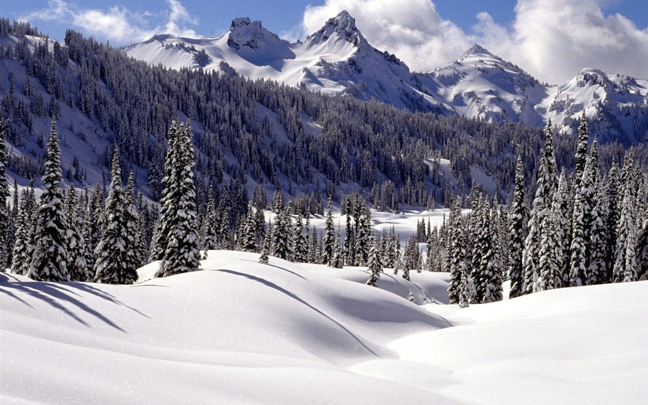 Invierno Nieve fondo de pantalla (3) #18 - 1280x800