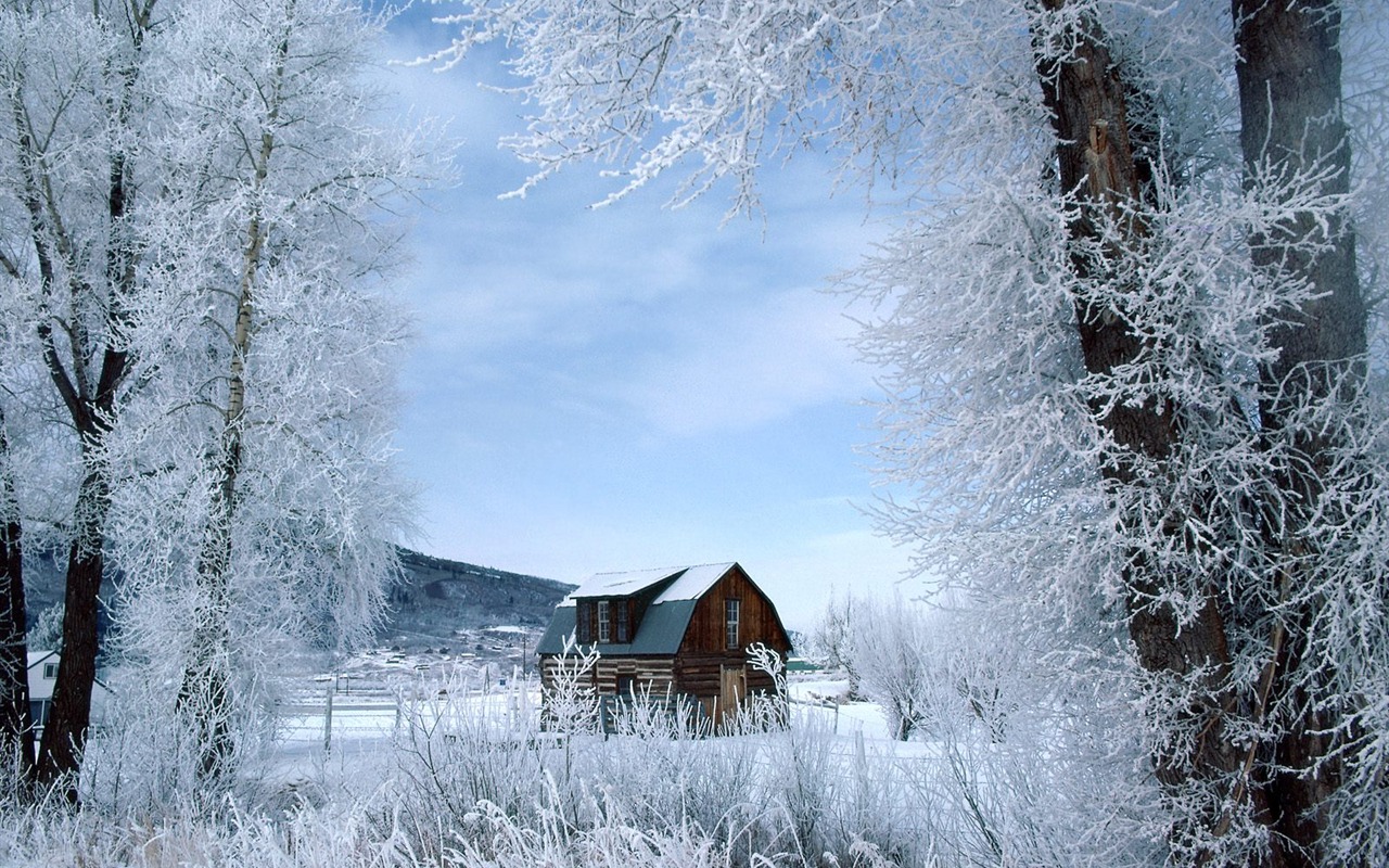 冬天雪景壁纸(三)20 - 1280x800