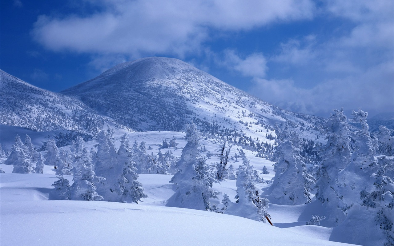 Sníh na horských tapety (2) #18 - 1280x800
