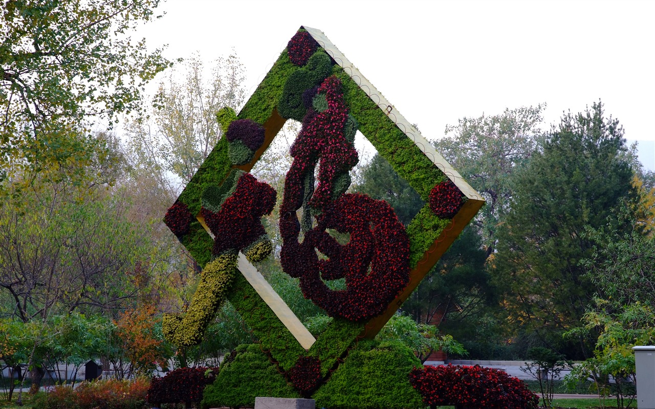 秋日的香山植物园 (螺纹钢作品)10 - 1280x800