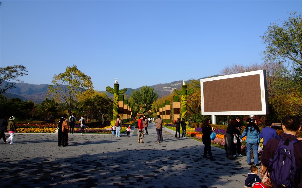 秋日的香山植物园 (螺纹钢作品)12 - 1280x800
