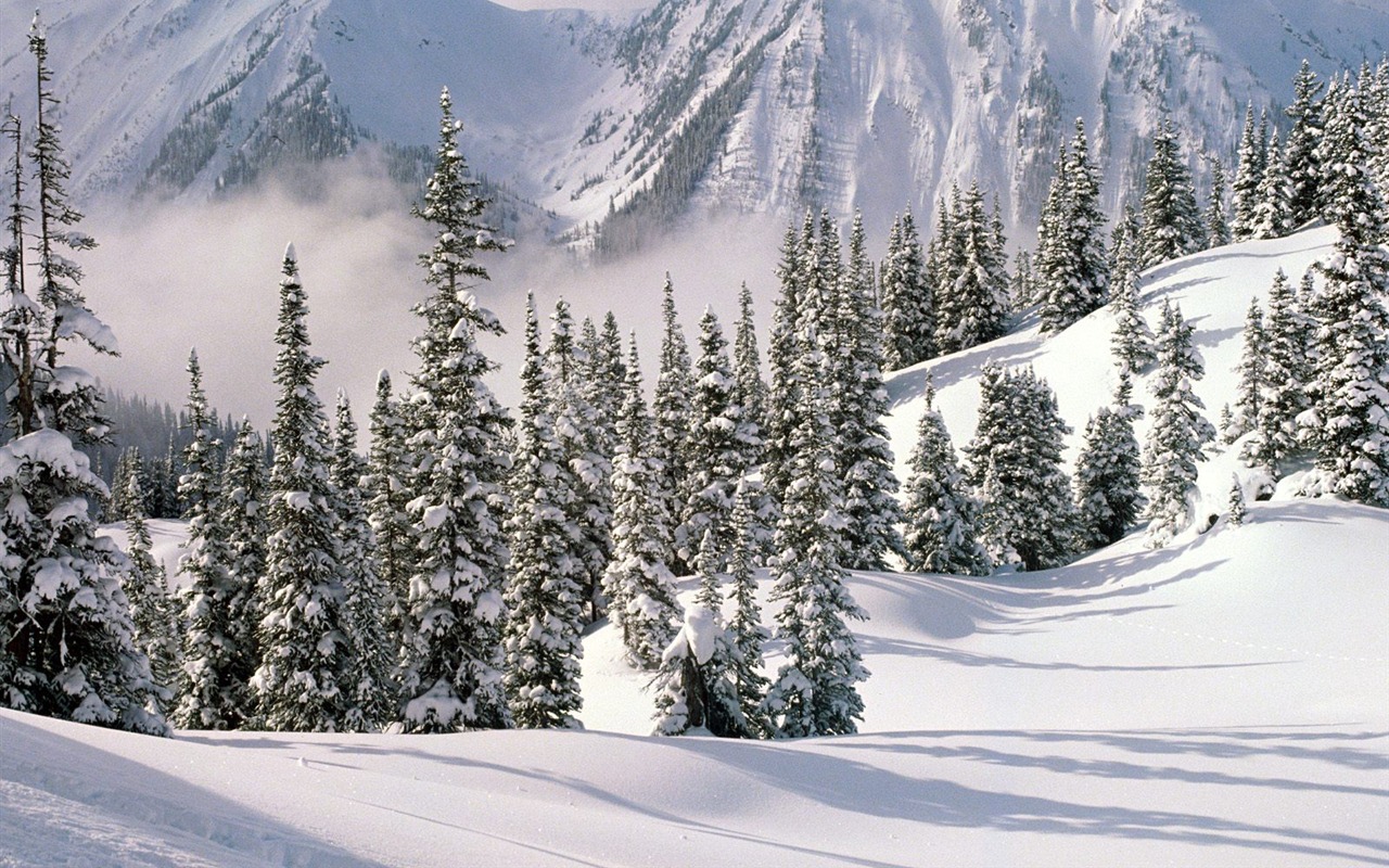 Snow Wallpaper Sammlung (4) #13 - 1280x800