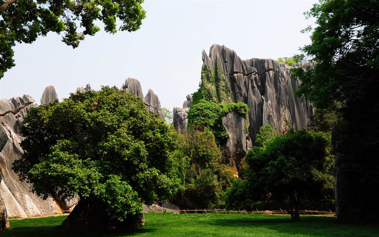 Stone Forest in Yunnan line (1) (Khitan wolf works) #4 - 1280x800