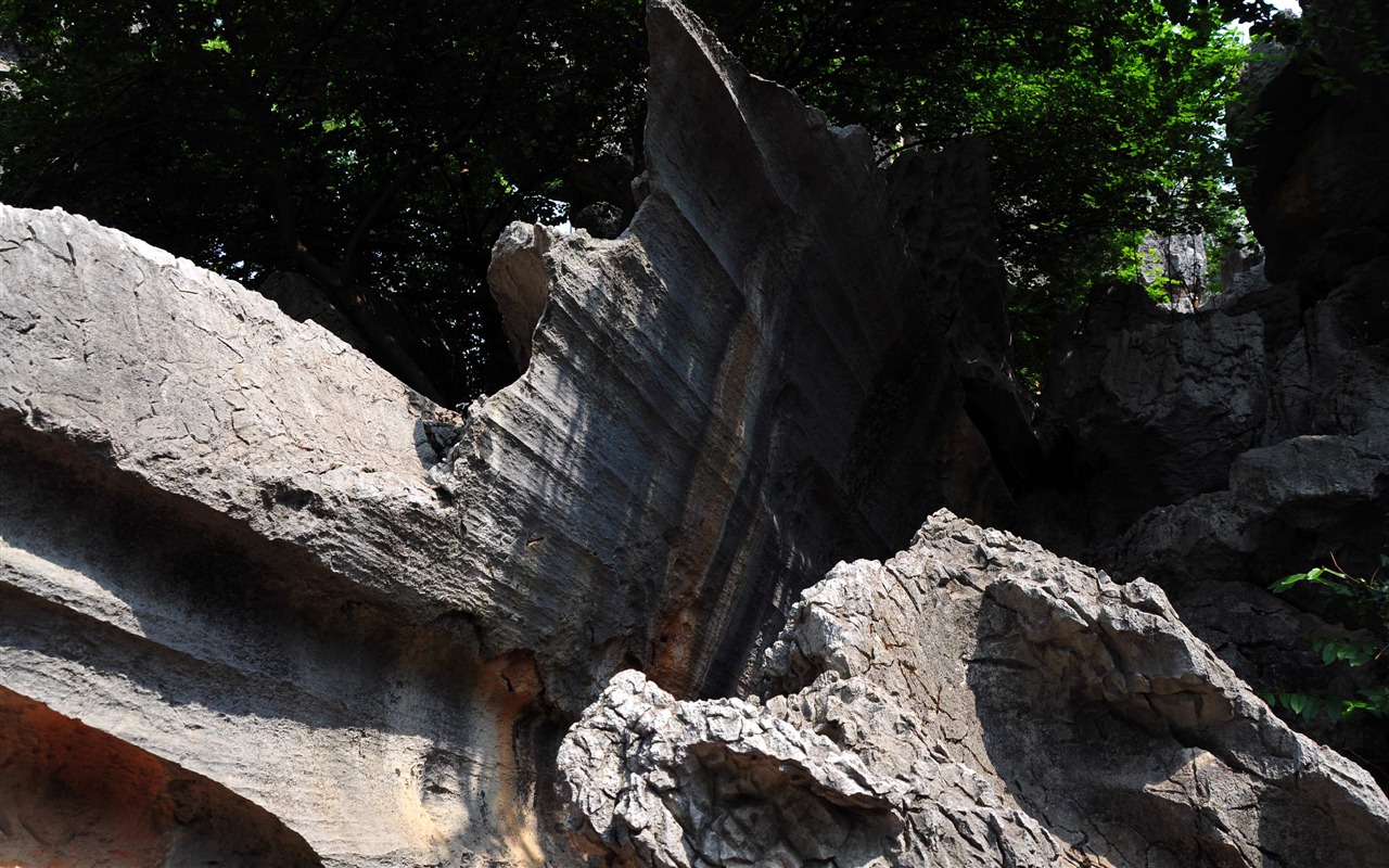 Steinwald in Yunnan Linie (1) (Khitan Wolf arbeitet) #8 - 1280x800