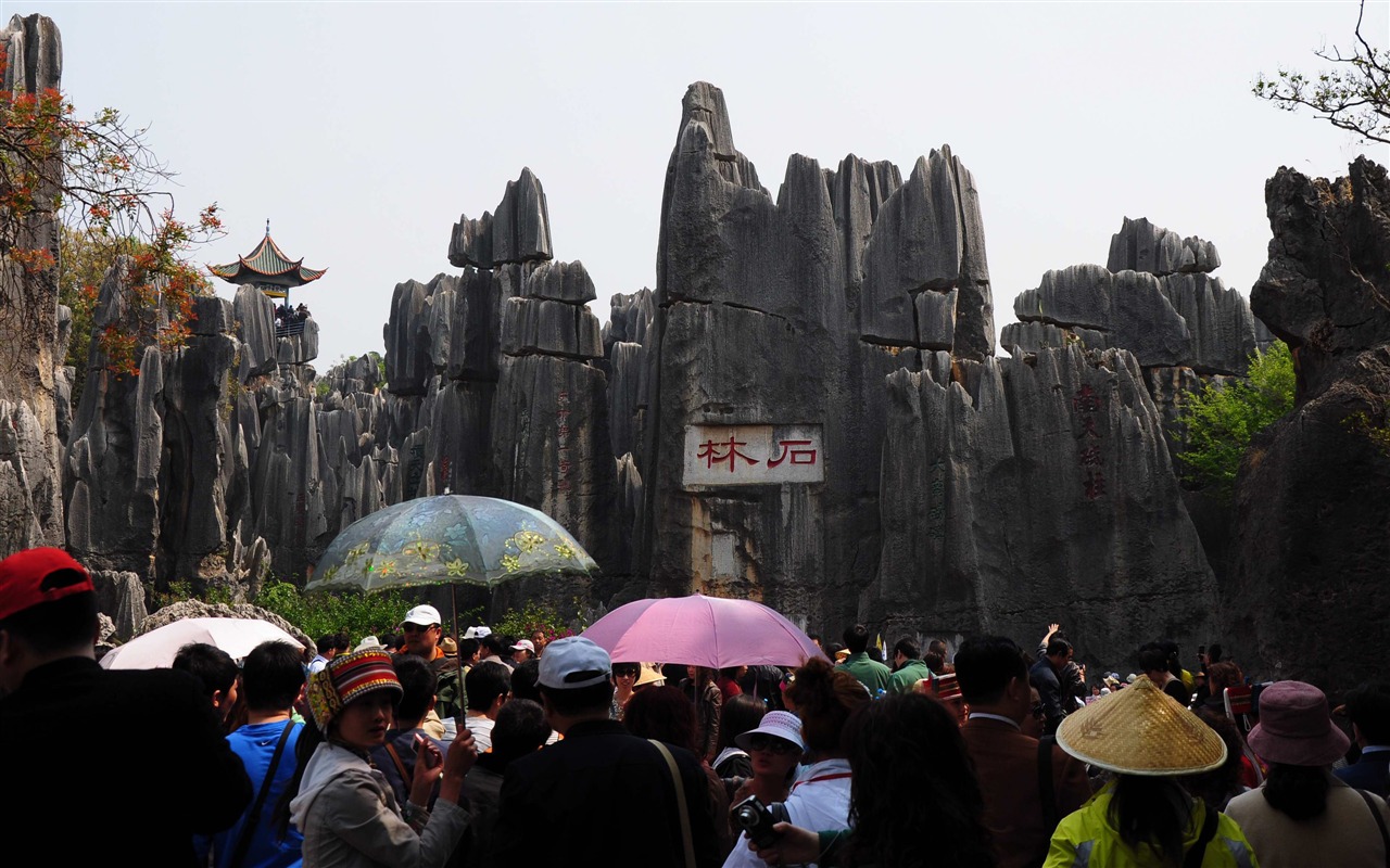 Stone Forest in Yunnan line (1) (Khitan wolf works) #9 - 1280x800