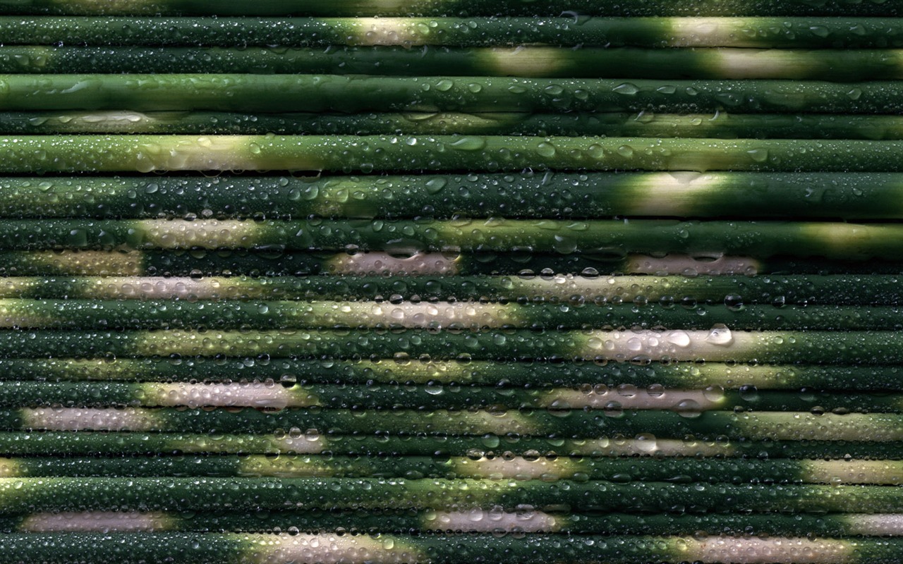 1680 fleurs vertes feuilles fond d'écran (3) #7 - 1280x800