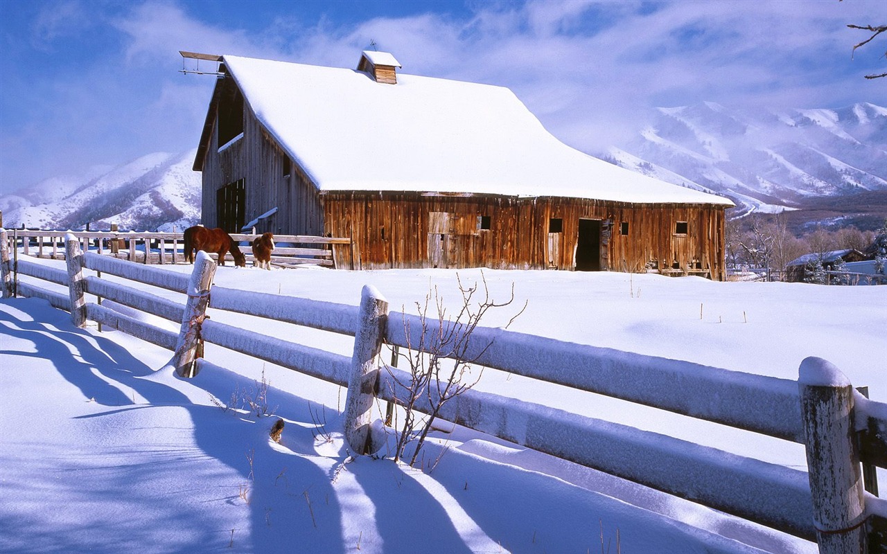 Snow wallpaper collection (5) #1 - 1280x800