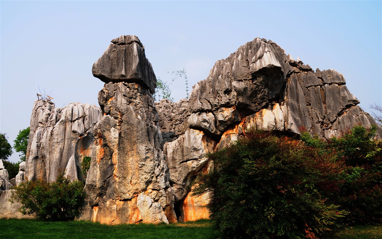 Каменный лес в провинции Юньнань линии (2) (работ киданей волка) #26 - 1280x800