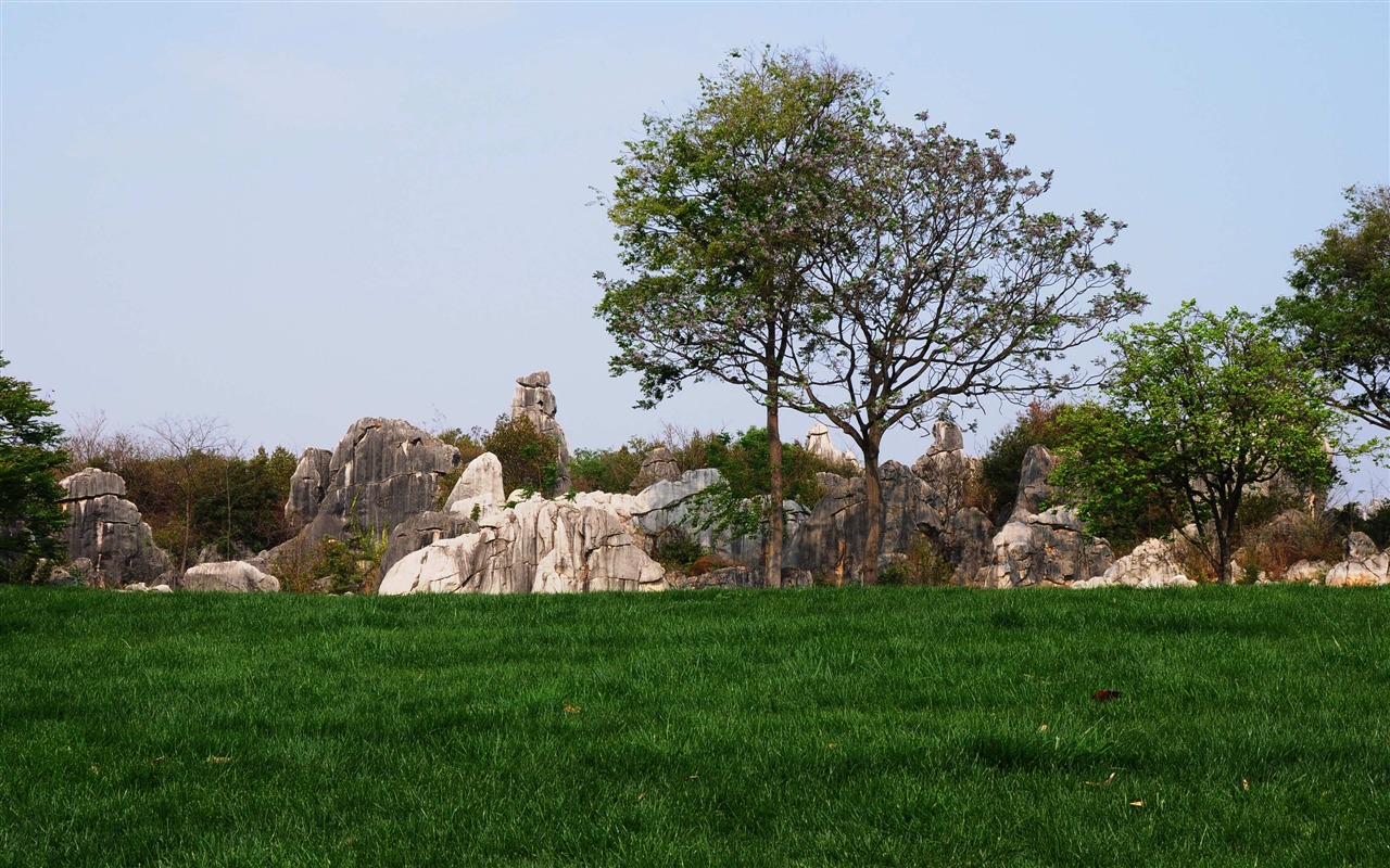 Каменный лес в провинции Юньнань линии (2) (работ киданей волка) #28 - 1280x800