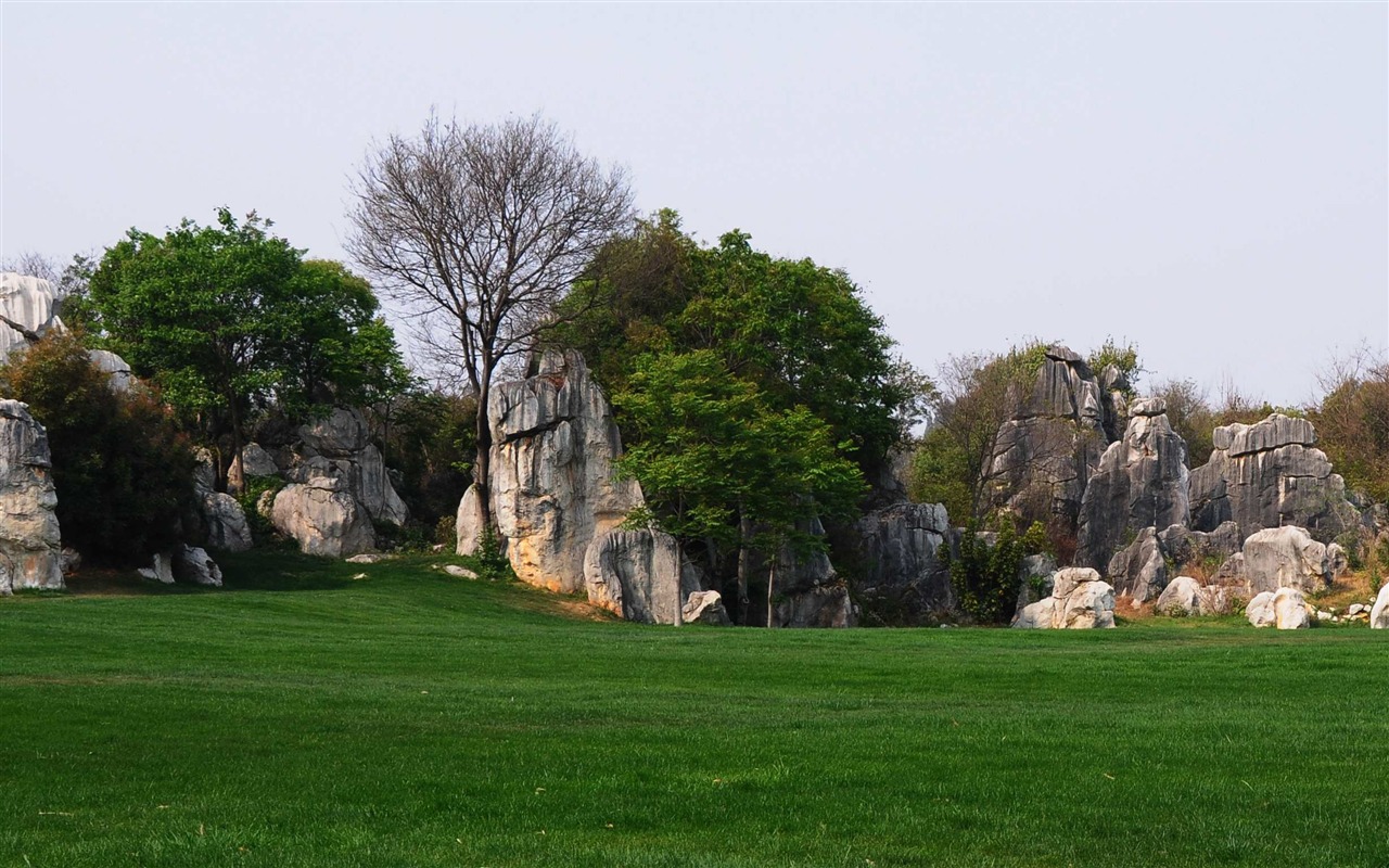 Каменный лес в провинции Юньнань линии (2) (работ киданей волка) #34 - 1280x800