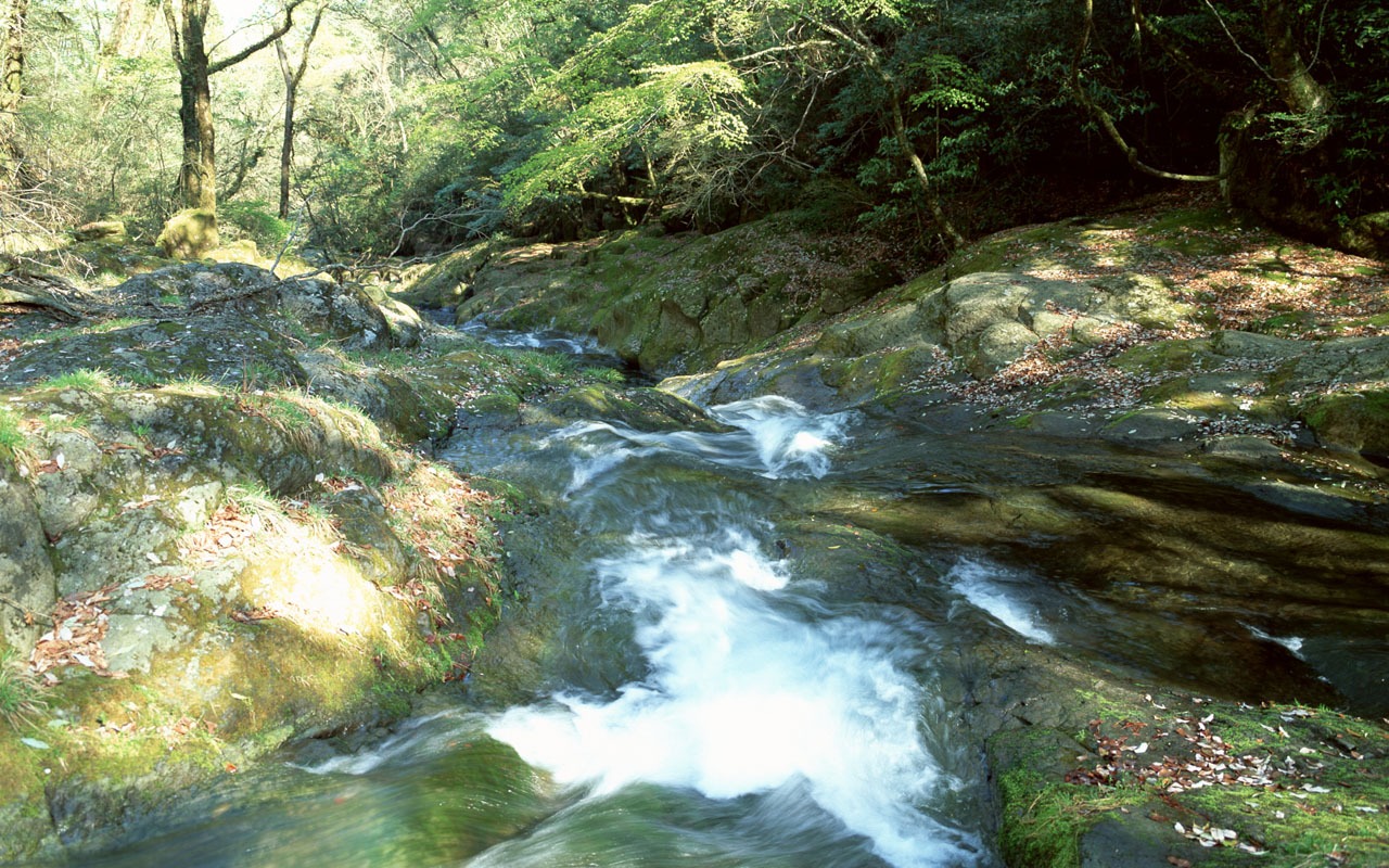 瀑布溪流 壁紙(一) #4 - 1280x800