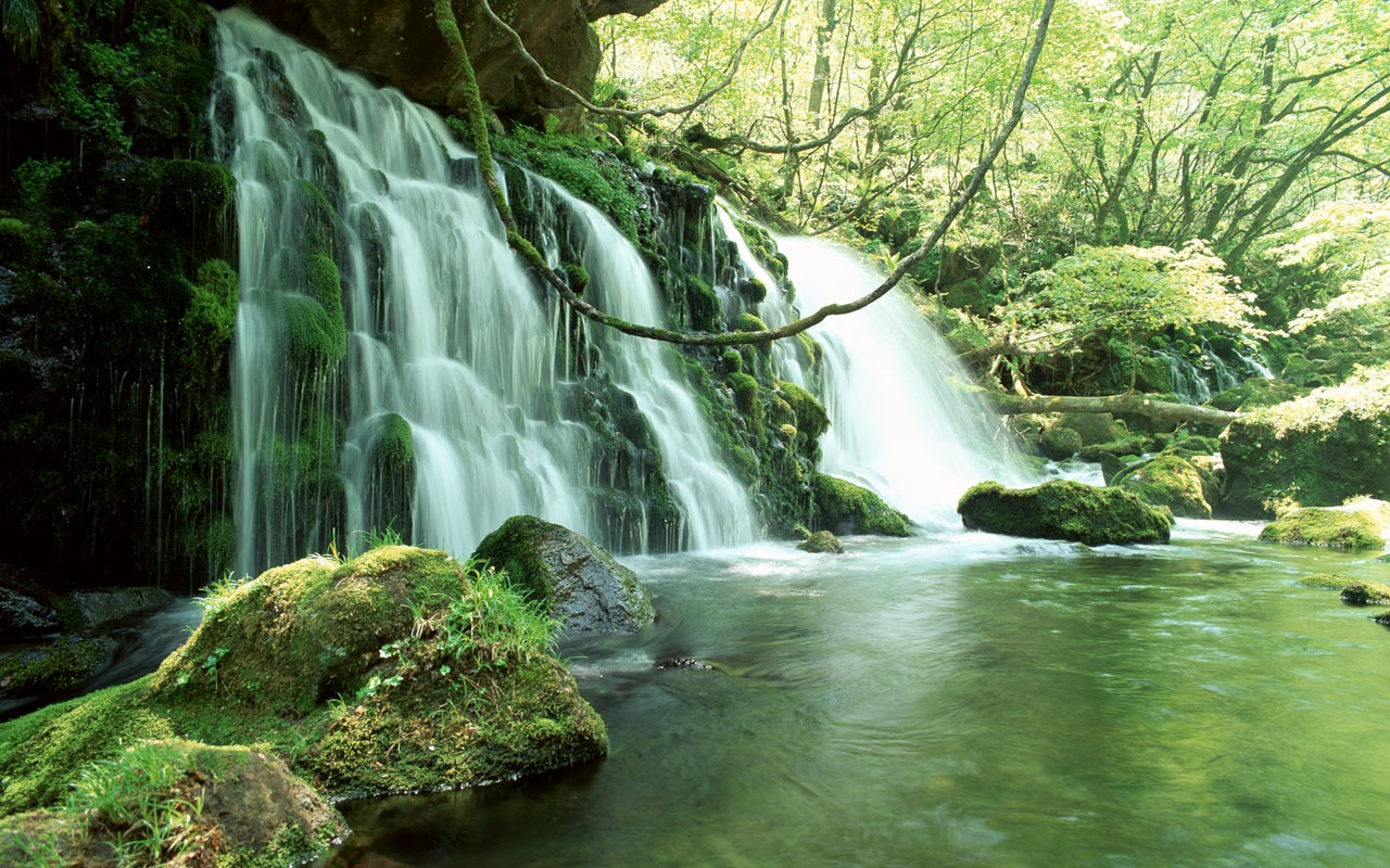 Cascada arroyos fondo de pantalla (2) #1 - 1280x800