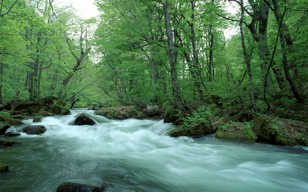 Waterfall-Streams Wallpaper (2) #3 - 1280x800