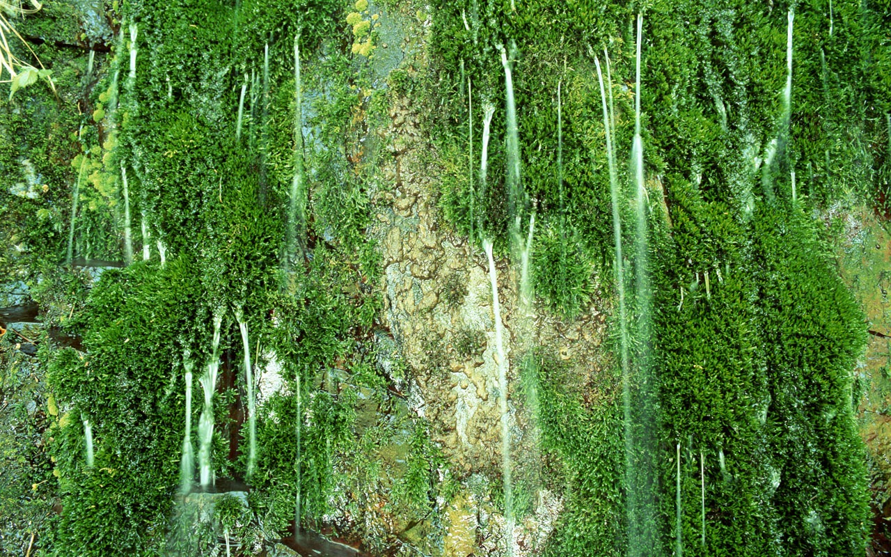 Waterfall streams wallpaper (2) #19 - 1280x800