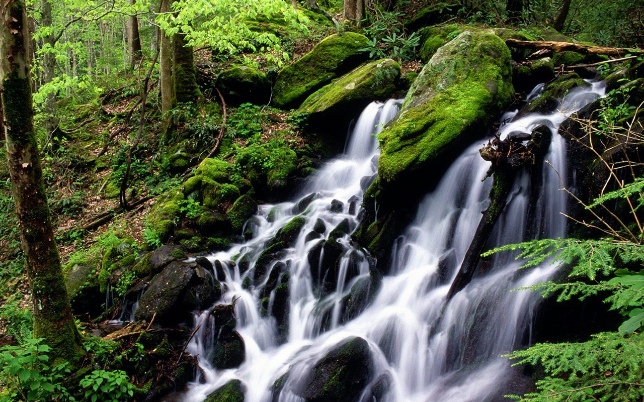 Waterfall-Streams Wallpaper (3) #3 - 1280x800