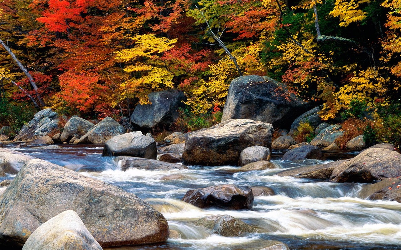 瀑布溪流 壁紙(三) #5 - 1280x800