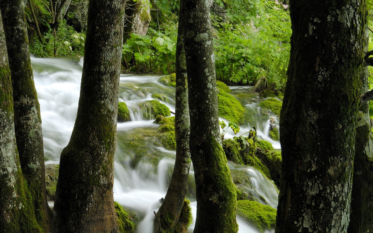 Waterfall-Streams Wallpaper (10) #19 - 1280x800