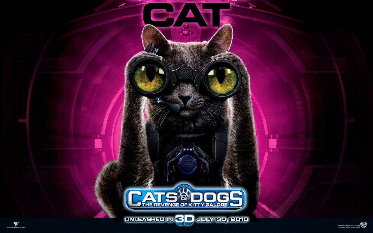 猫狗大战2：猫怪的复仇 壁纸专辑12 - 1280x800
