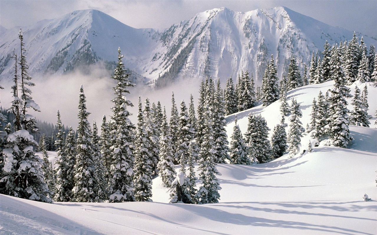 Sníh širokoúhlý tapety (1) #19 - 1280x800