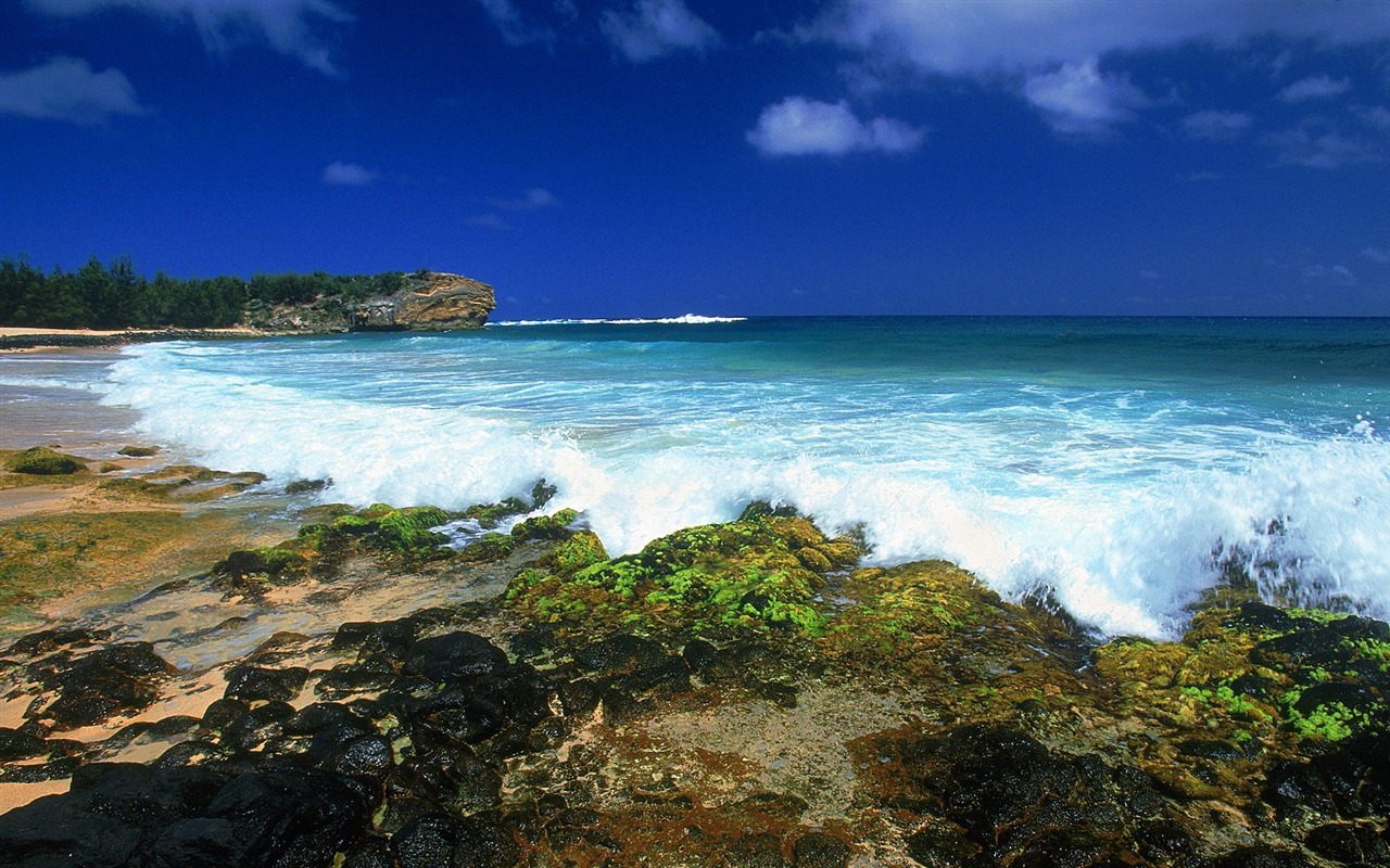 Playa fondos de pantalla paisaje (5) #6 - 1280x800