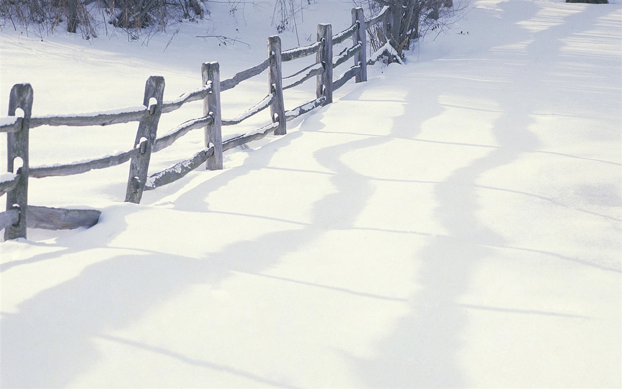 눈의 와이드 벽지 (2) #8 - 1280x800