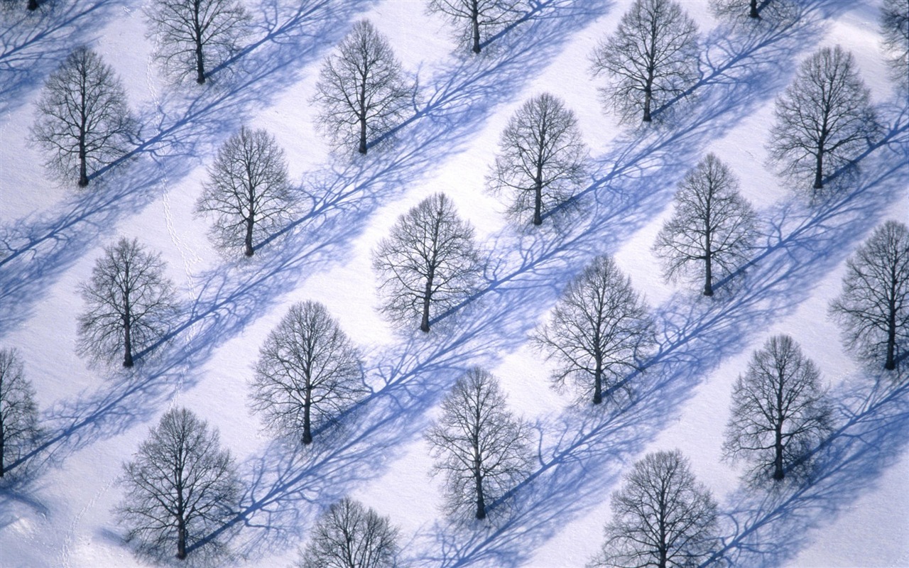 宽屏雪景 壁纸(二)17 - 1280x800