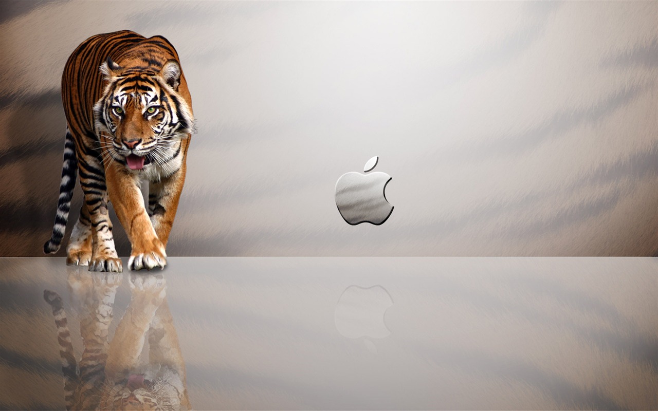 Apple Thema Tapete Album (28) #8 - 1280x800