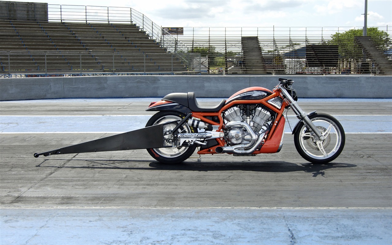 Harley-Davidson Wallpaper Album (2) #13 - 1280x800