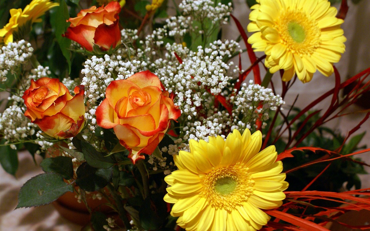 Širokoúhlý tapety květiny close-up (18) #17 - 1280x800