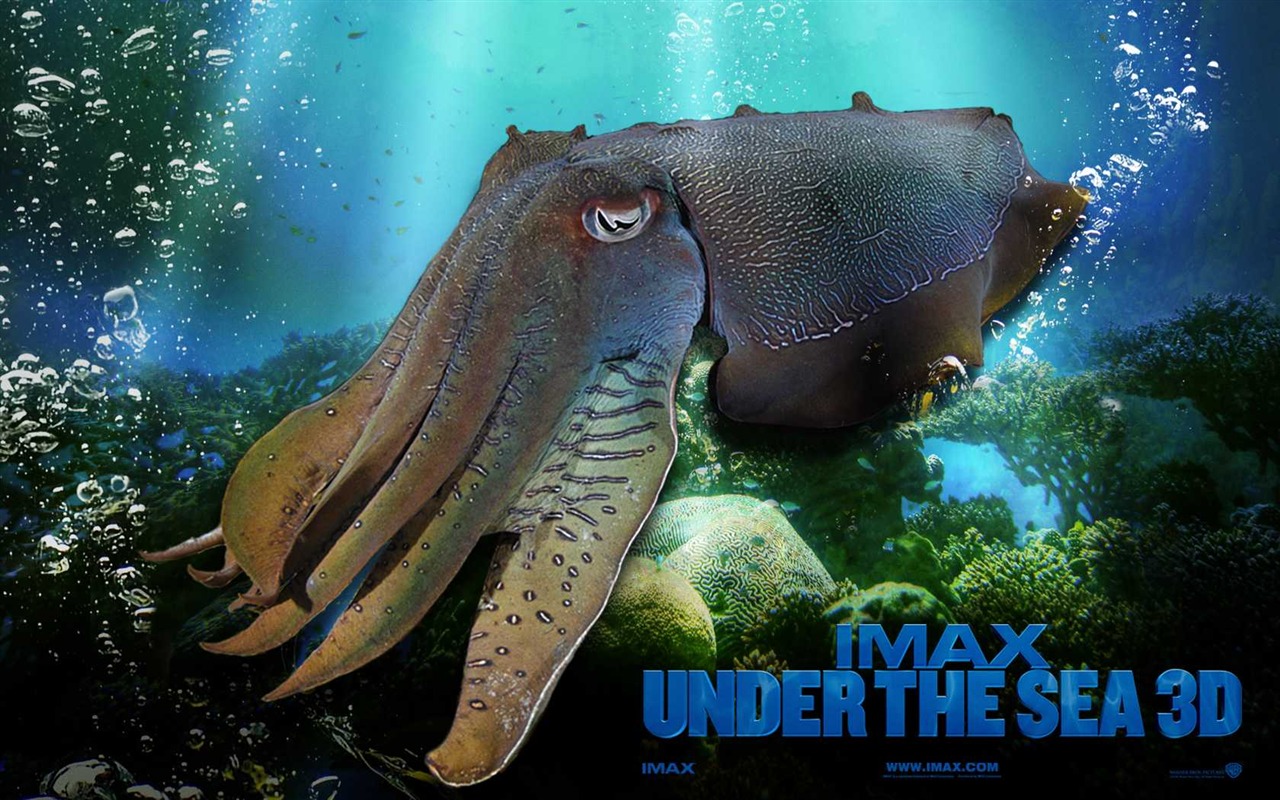 Under the Sea 3D 海底世界3D 高清壁纸47 - 1280x800