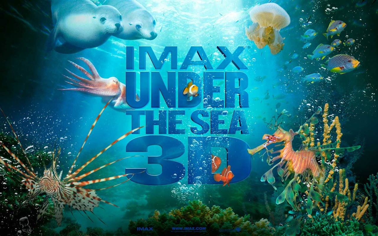 Under the Sea 3D 海底世界3D 高清壁纸48 - 1280x800