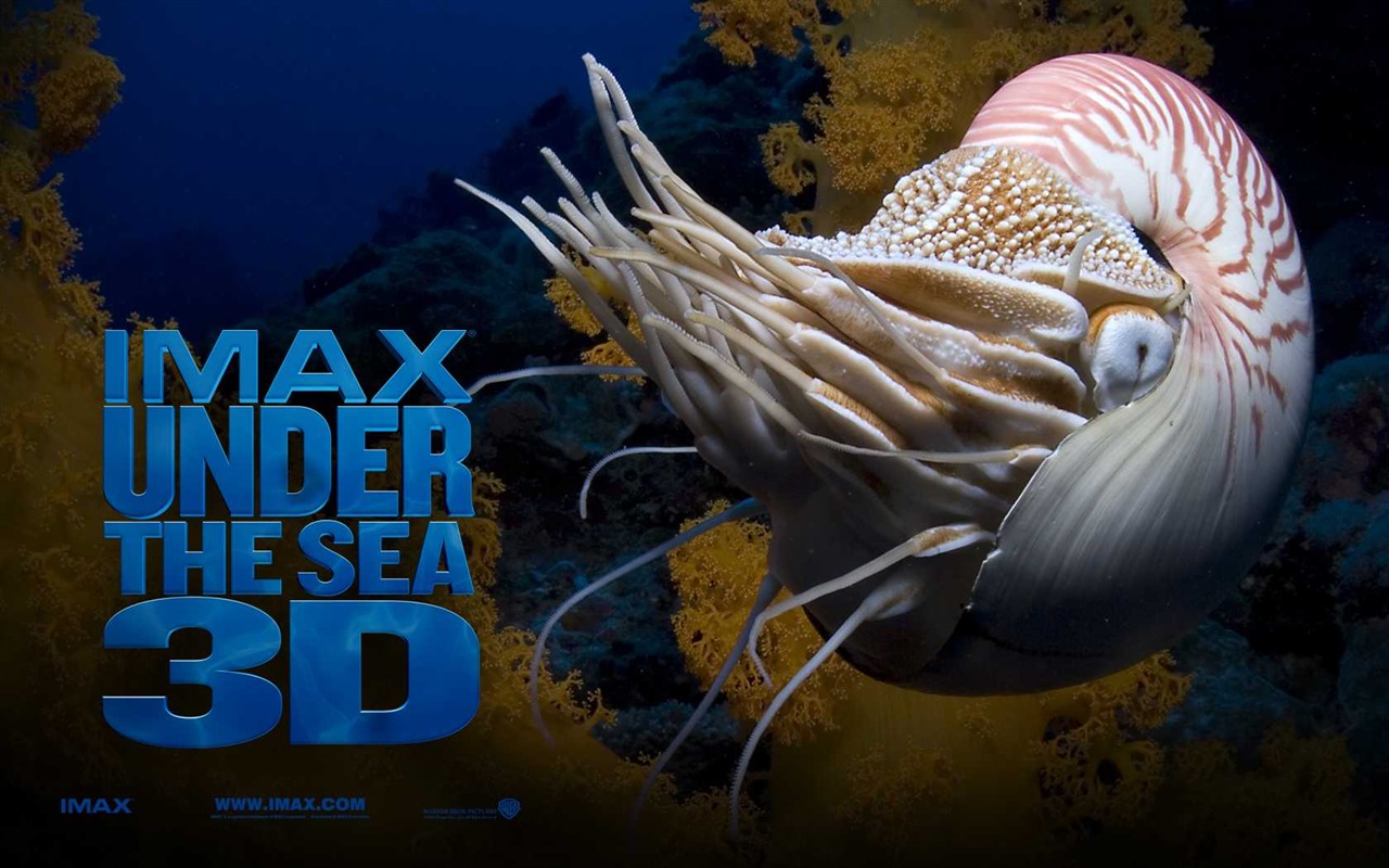 Under the Sea 3D 海底世界3D 高清壁纸49 - 1280x800