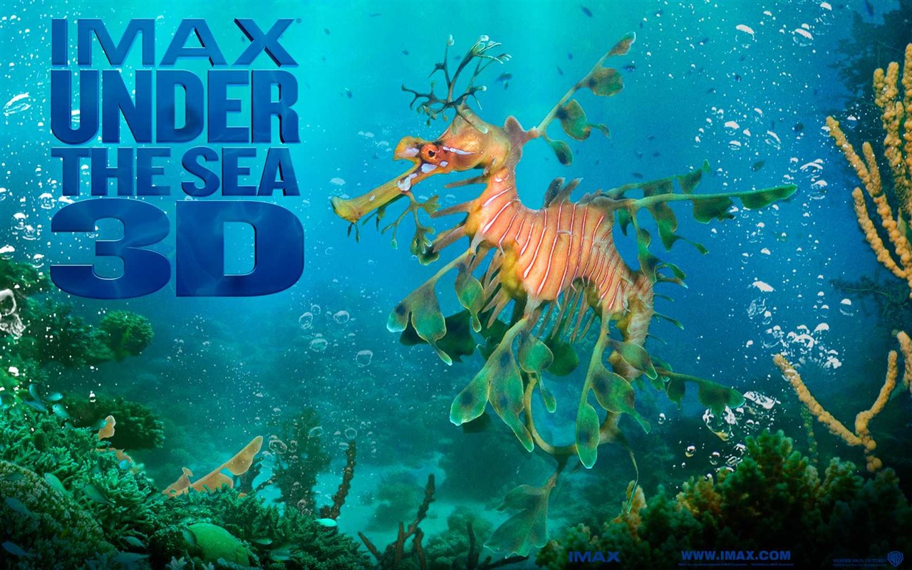 Dans le cadre du fond d'écran Sea 3D HD #50 - 1280x800