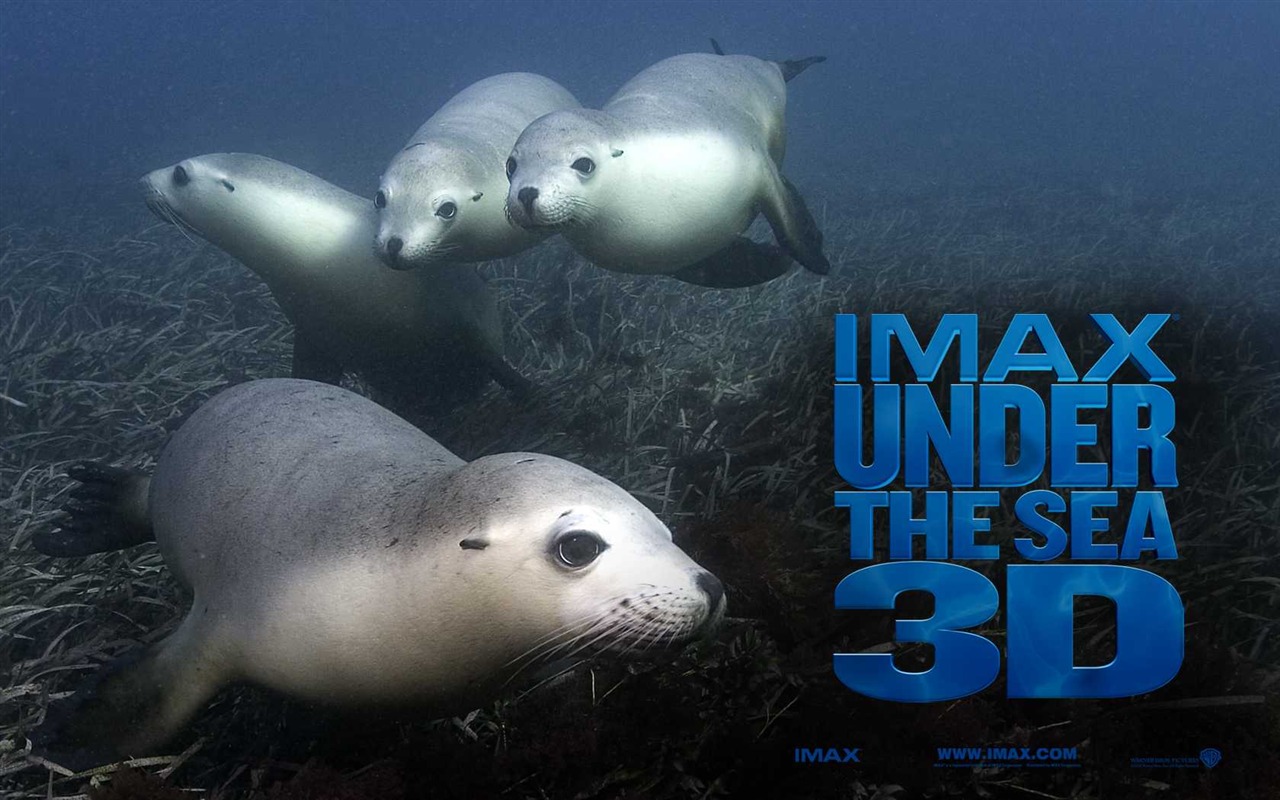 Under the Sea 3D HD Wallpaper #51 - 1280x800