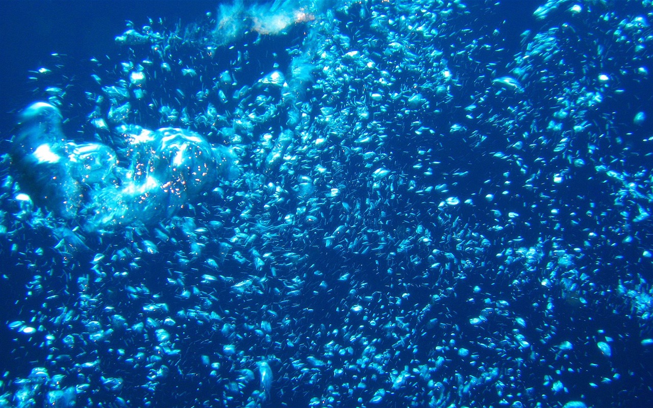Zábava Underwater World (4) #23 - 1280x800
