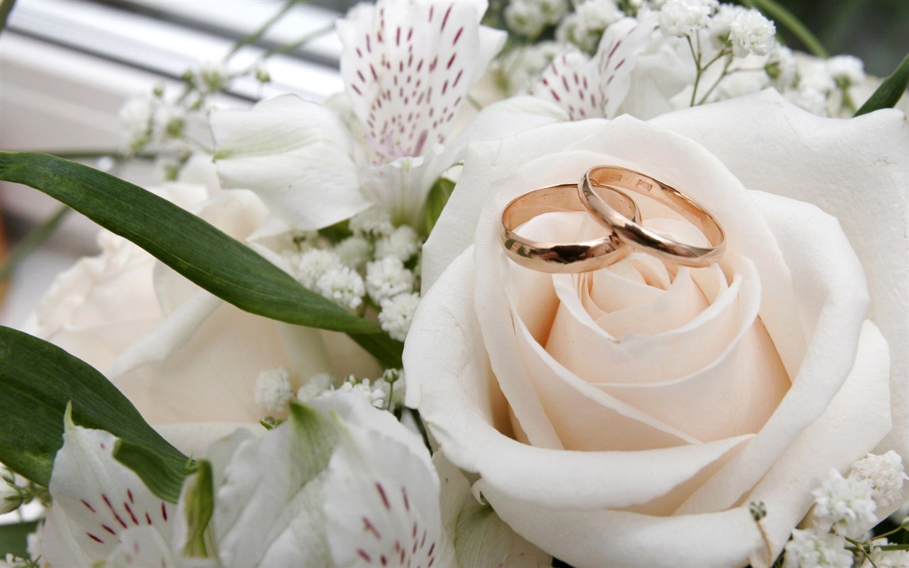 Свадьбы и свадебные кольца обои (1) #2 - 1280x800