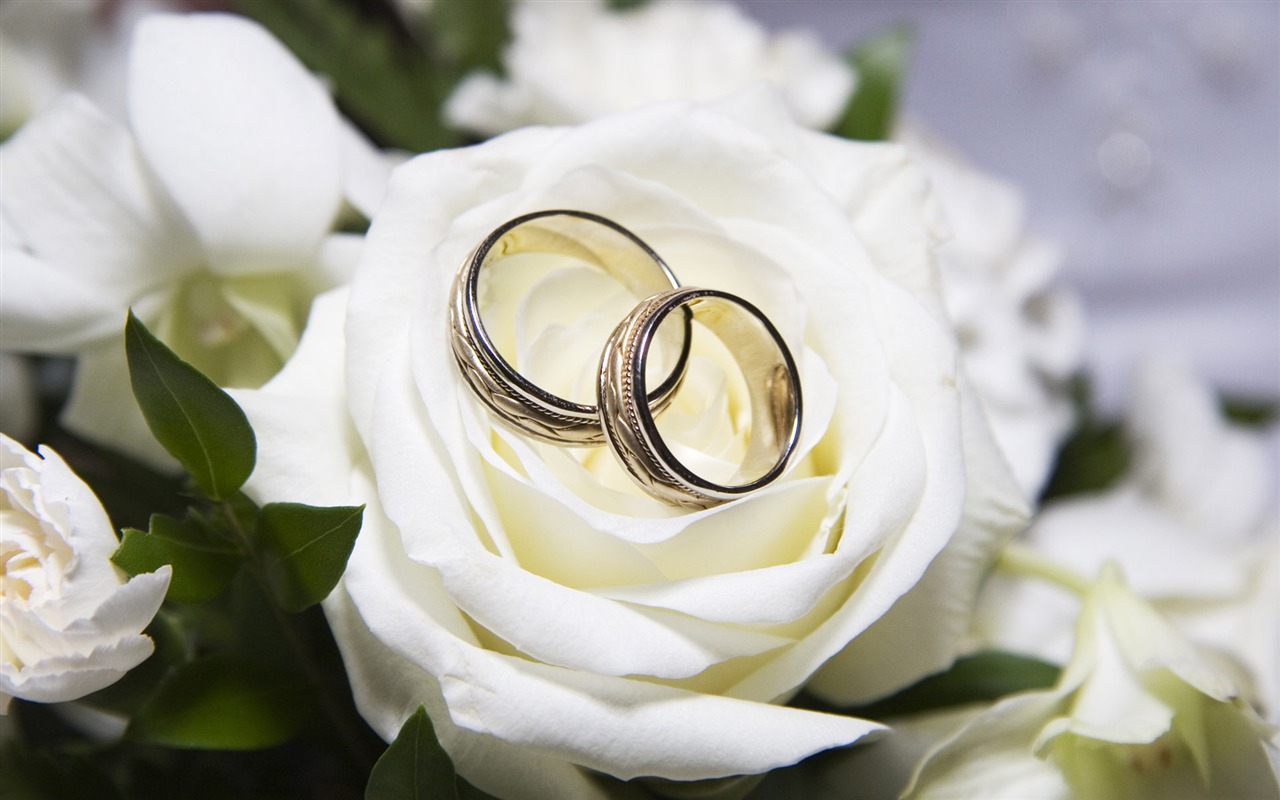 Свадьбы и свадебные кольца обои (1) #3 - 1280x800