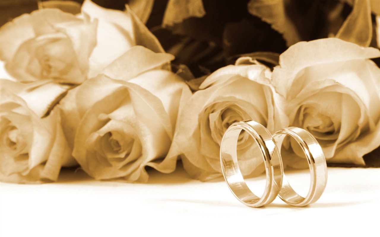 Bodas y fondos de escritorio de anillo de bodas (2) #9 - 1280x800