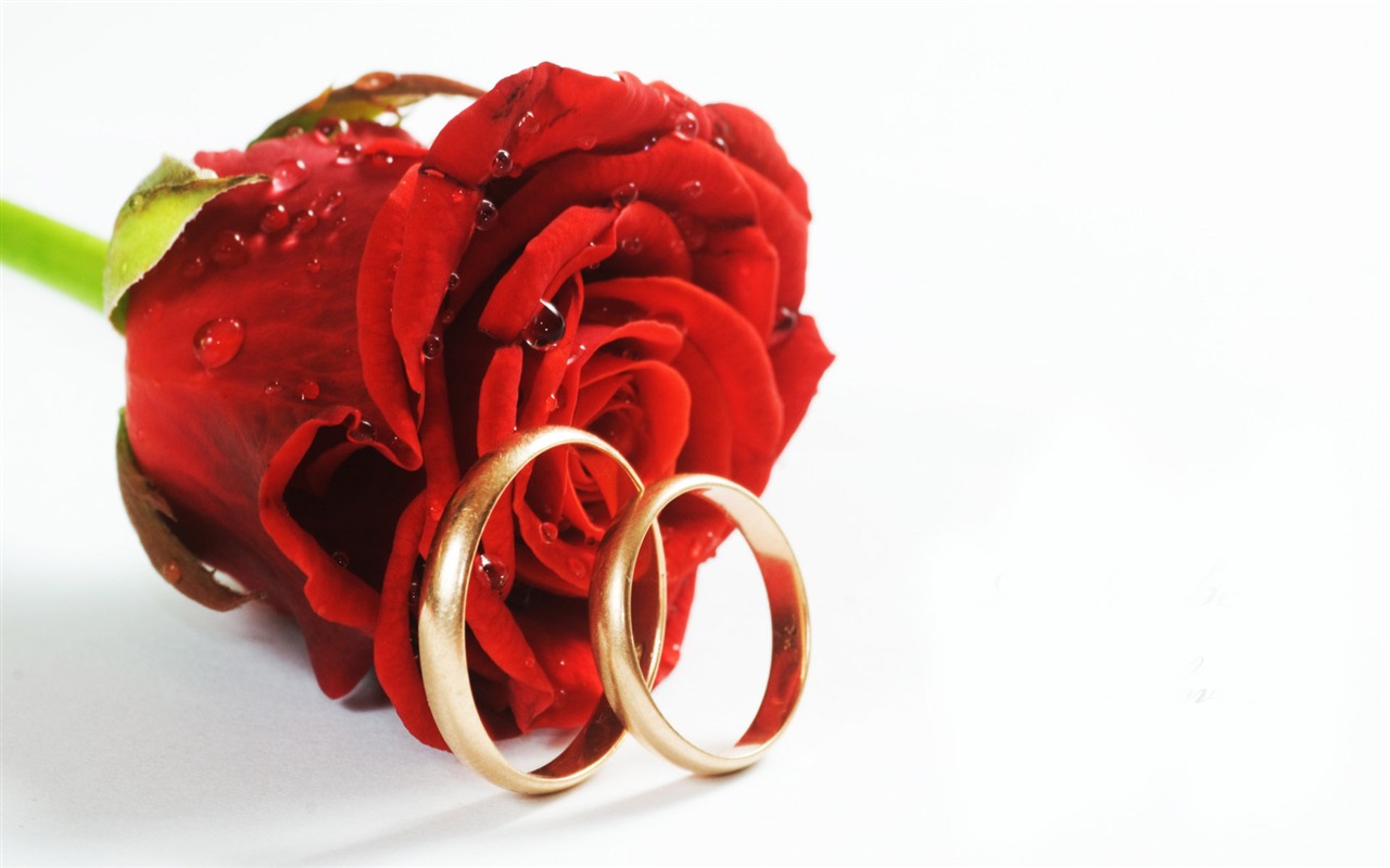 Bodas y fondos de escritorio de anillo de bodas (2) #11 - 1280x800