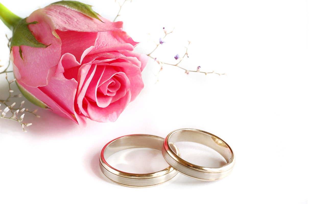 Свадьбы и свадебные кольца обои (2) #12 - 1280x800