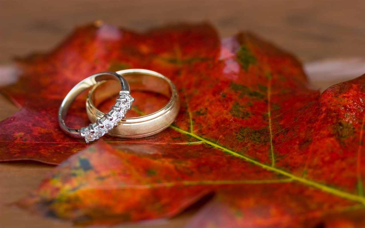 Свадьбы и свадебные кольца обои (2) #16 - 1280x800