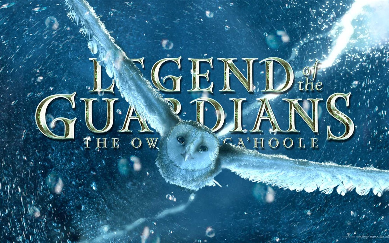Legend of the Guardians: The Owls of Ga'Hoole 守卫者传奇(一)17 - 1280x800