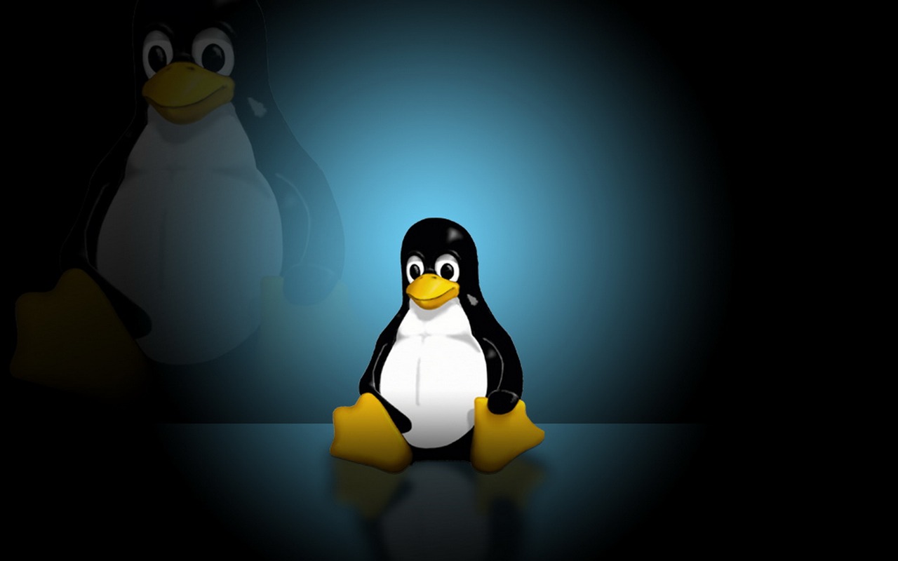 리눅스 벽지 (2) #6 - 1280x800
