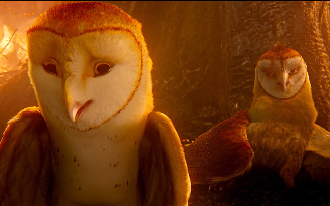 Legend of the Guardians: The Owls of Ga'Hoole (2) #23 - 1280x800
