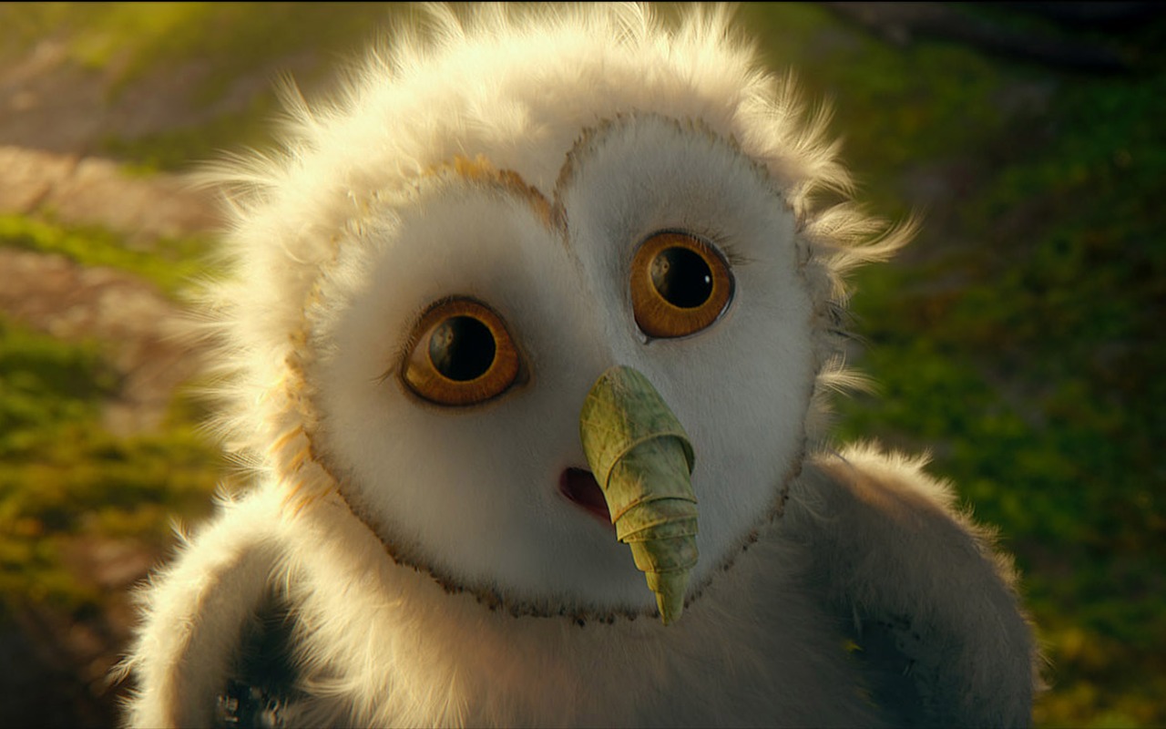 Legend of the Guardians: The Owls of Ga'Hoole (2) #25 - 1280x800