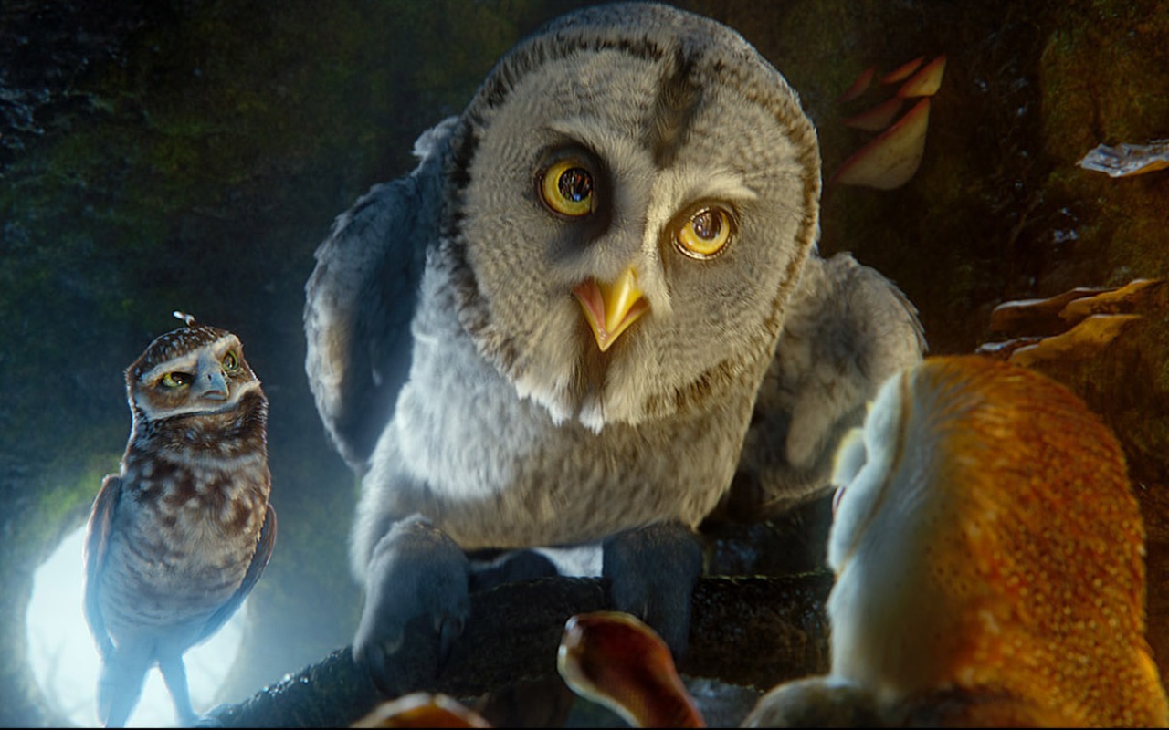 Legend of the Guardians: The Owls of Ga'Hoole (2) #29 - 1280x800