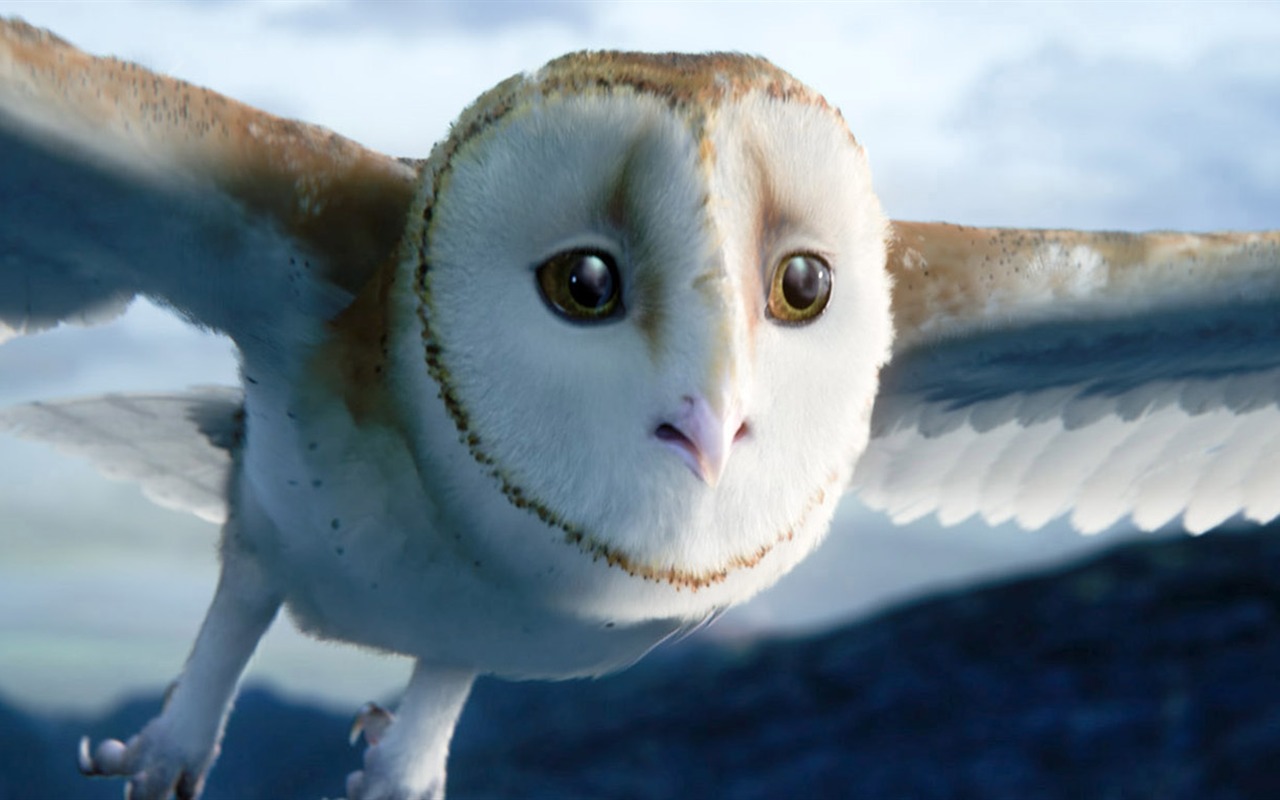 Legend of the Guardians: The Owls of Ga'Hoole (2) #31 - 1280x800