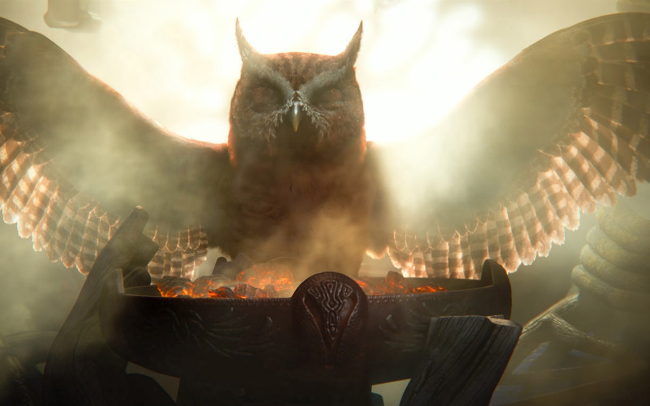 Legend of the Guardians: The Owls of Ga'Hoole (2) #34 - 1280x800